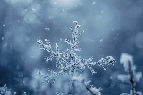 【2025年】冬季休業のお知らせ