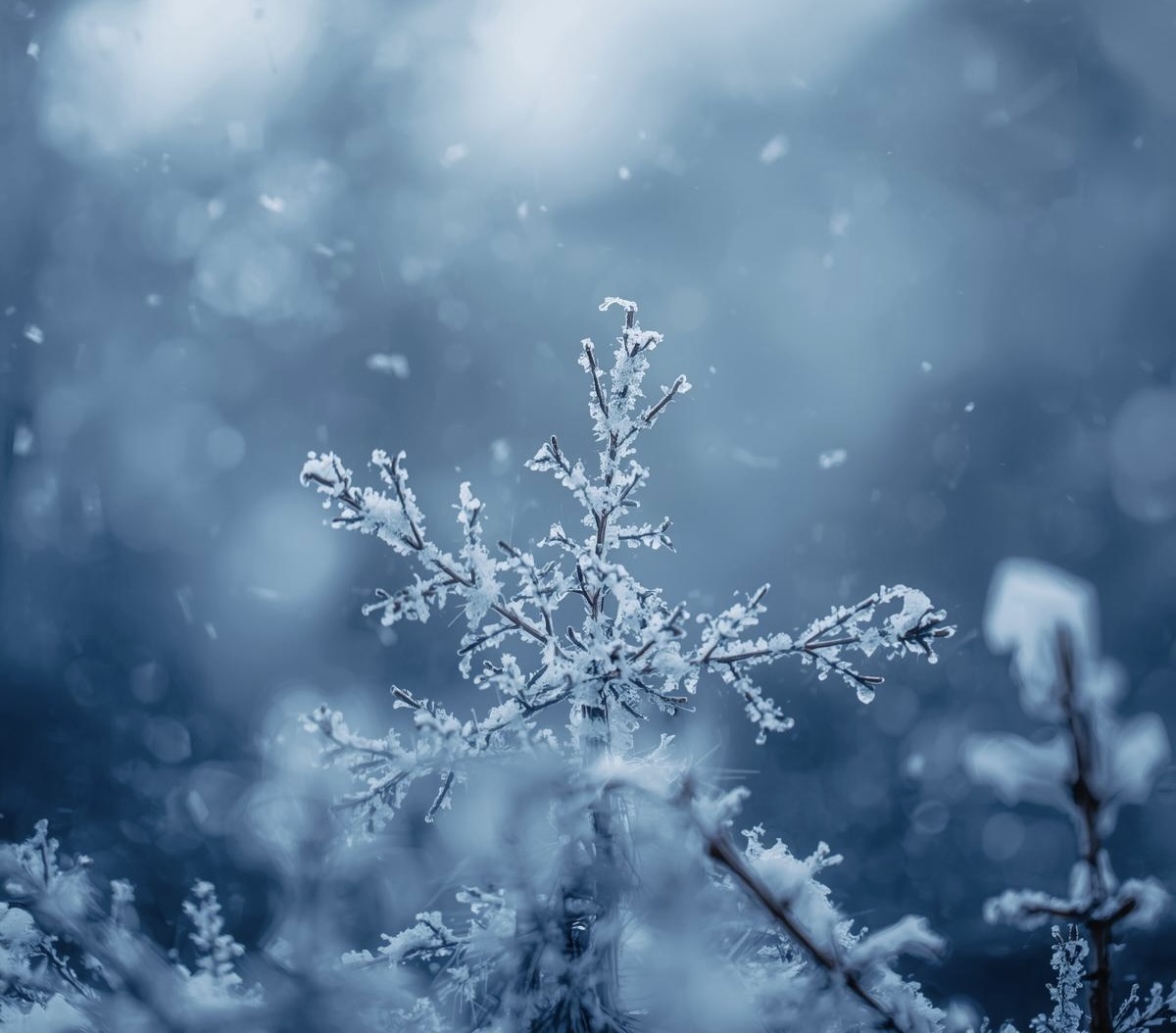 【2025年】冬季休業のお知らせ